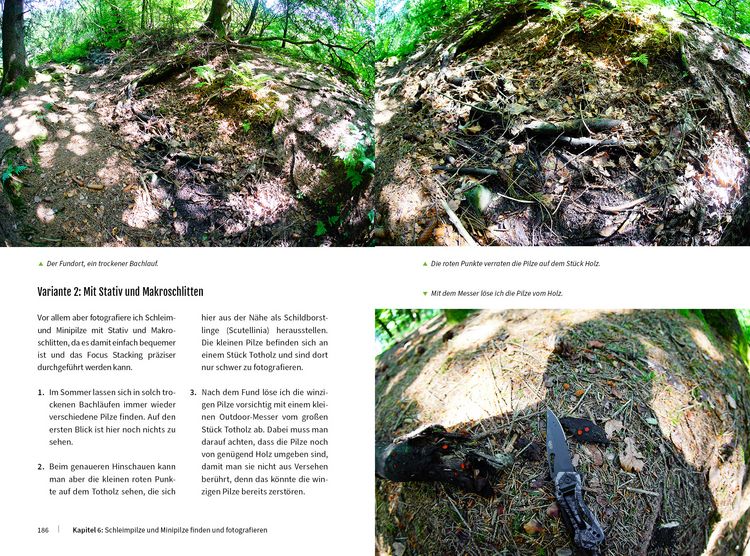 Produktbild: Pilzfotografie - Magische Momente inszenieren