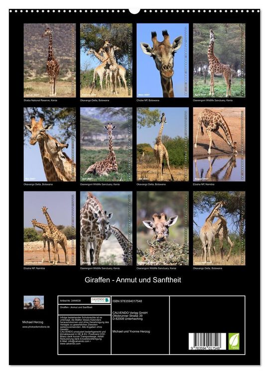 Produktbild: Giraffen - Anmut und Sanftheit (hochwertiger Premium Wandkalender 2027 DIN A2 hoch), Kunstdruck in Hochglanz