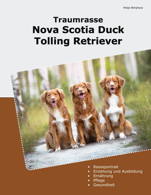 Produktbild: Traumrasse Nova Scotia Duck Tolling Retriever