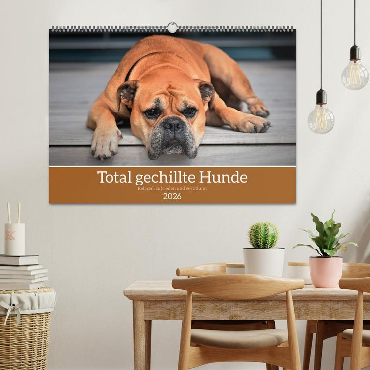 Produktbild: Total gechillte Hunde (Wandkalender 2026 DIN A2 quer), CALVENDO Monatskalender