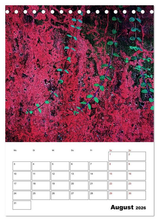 Produktbild: Mauerbl&uuml;mchen - Poesie im Allt&auml;glichen als Monatsplaner (Tischkalender 2026 DIN A5 hoch), CALVENDO Monatskalender