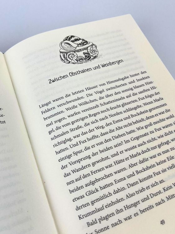 Produktbild: Fux Witterling und die Quelle der Magie