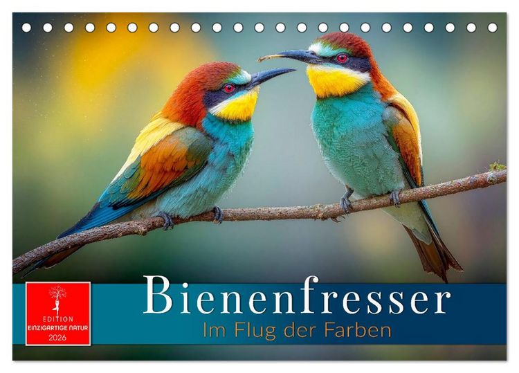 Produktbild: Bienenfresser - im Flug der Farben (Tischkalender 2026 DIN A5 quer), CALVENDO Monatskalender
