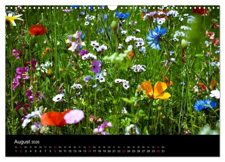 Produktbild: Winterberg - Sauerland - Eine Landschaft in Bildern (Wandkalender 2026 DIN A3 quer), CALVENDO Monatskalender