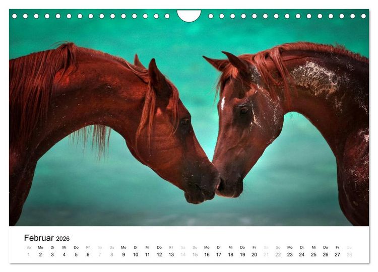 Produktbild: Pferde - Magdalena Strakova (Wandkalender 2026 DIN A4 quer), CALVENDO Monatskalender