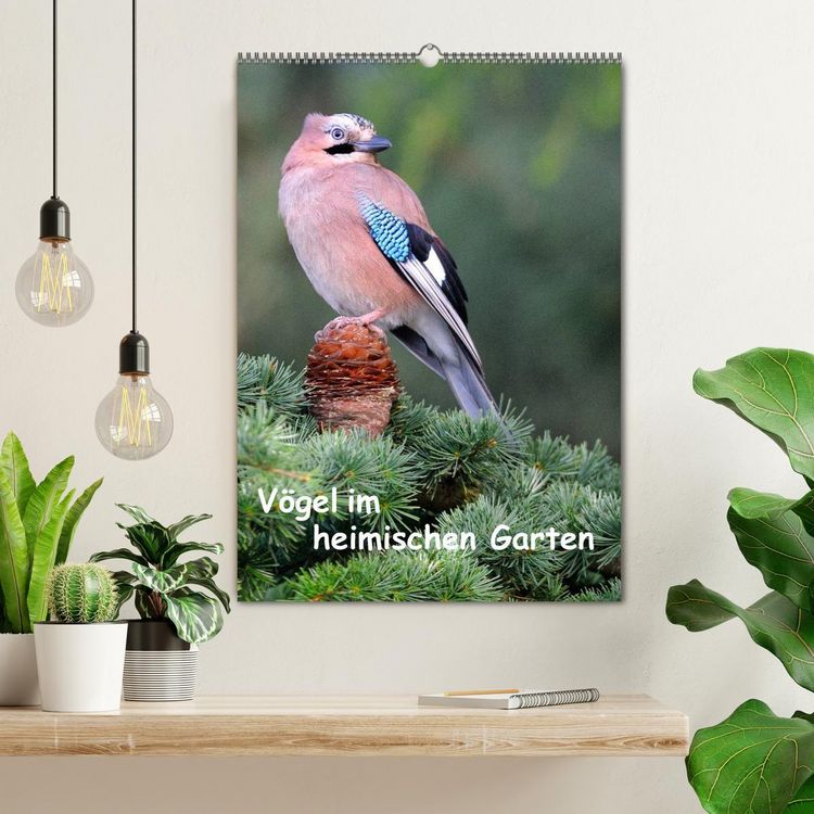 Produktbild: V&ouml;gel im heimischen Garten (Wandkalender 2026 DIN A2 hoch), CALVENDO Monatskalender