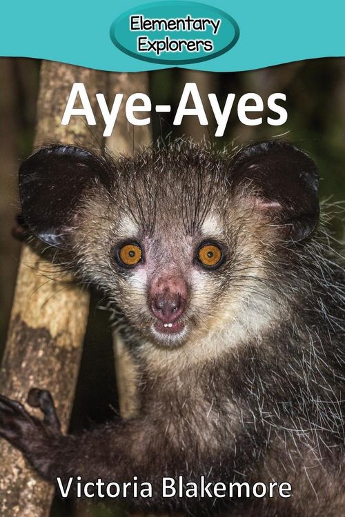Produktbild: Aye-Ayes