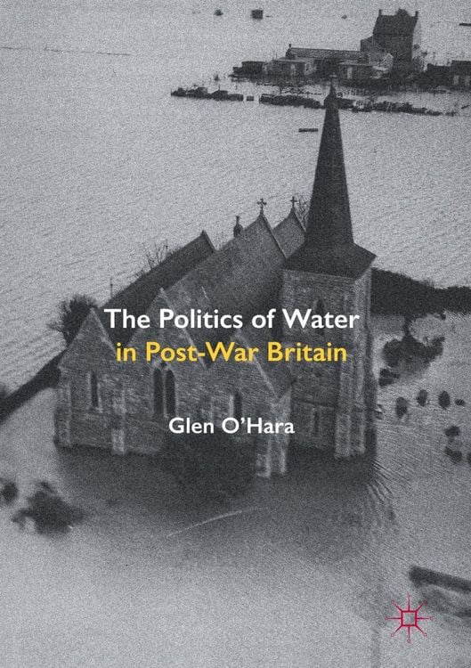 Produktbild: The Politics of Water in Post-War Britain