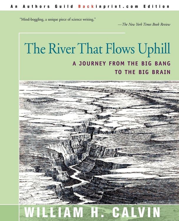 Produktbild: The River That Flows Uphill