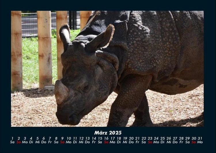Produktbild: Tierkalender 2025 Fotokalender DIN A4