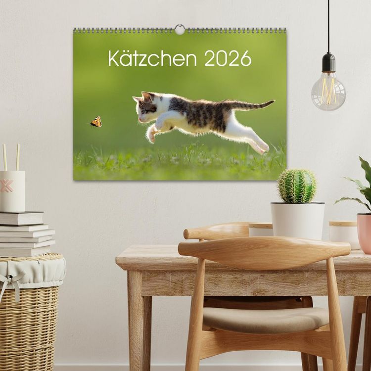 Produktbild: K&auml;tzchen 2026 (Wandkalender 2026 DIN A3 quer), CALVENDO Monatskalender