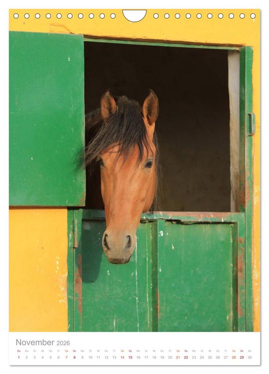 Produktbild: Caballos - Die sch&ouml;nen Pferde Spaniens (Wandkalender 2026 DIN A4 hoch), CALVENDO Monatskalender