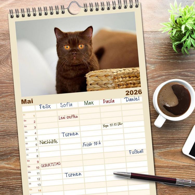 Produktbild: Familienplaner 2026 - Die Britisch Kurzhaar Katze mit 5 Spalten (Wandkalender, 21 x 45 cm) CALVENDO