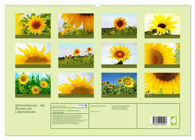 Produktbild: Sonnenblumen - die Blumen der Lebensfreude (hochwertiger Premium Wandkalender 2026 DIN A2 quer), Kunstdruck in Hochglanz