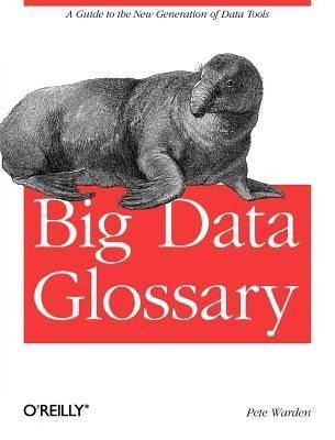 Produktbild: Big Data Glossary