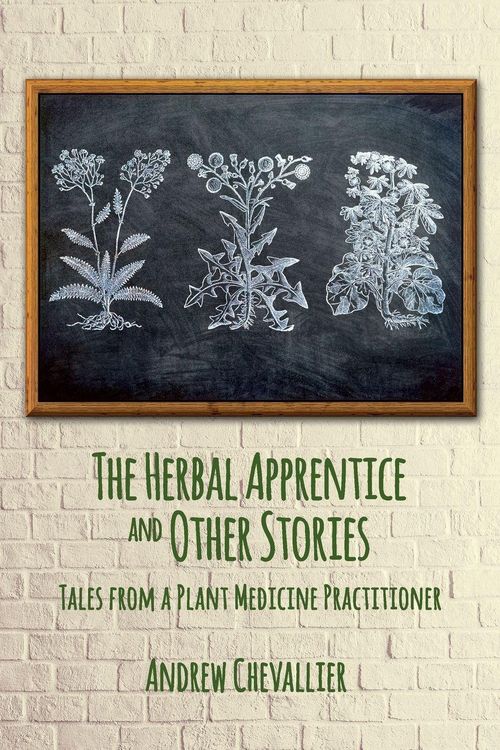 Produktbild: The Herbal Apprentice and Other Stories