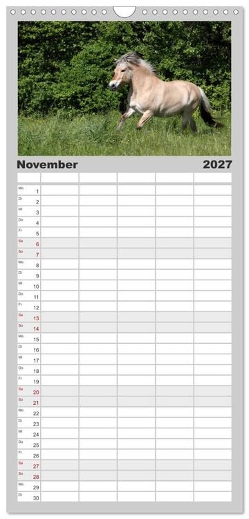 Produktbild: Familienplaner 2027 - Pferde - im Galopp durch's Jahr mit 5 Spalten (Wandkalender, 21 x 45 cm) CALVENDO