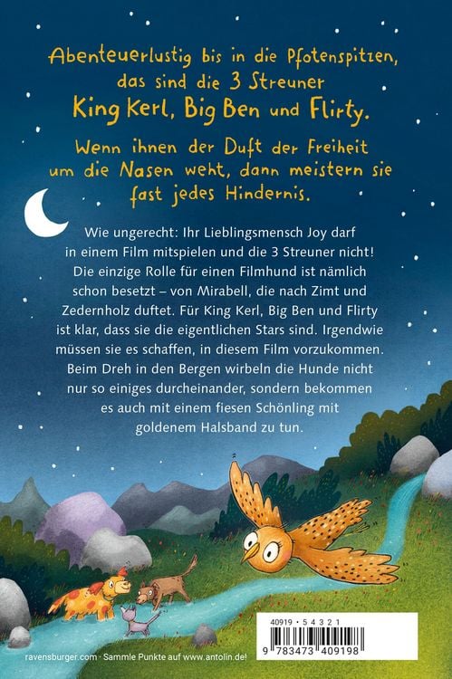 Produktbild: 3 Streuner werden Filmstars