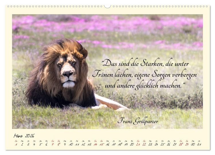 Produktbild: Gl&uuml;cksmomente Gl&uuml;cks-Zitate zu Fotos der gro&szlig;artigen s&uuml;dafrikanischen Tierwelt (hochwertiger Premium Wandkalender 2026 DIN A2 quer), Kunstdruck in Hochglanz