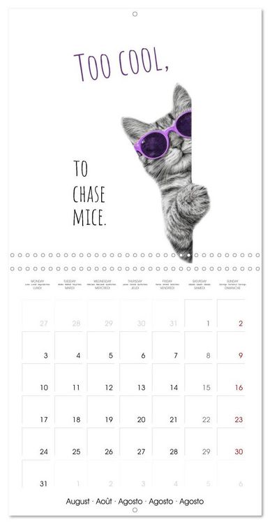 Produktbild: Purrfectly Cool Cats (Wall Calendar 2026 12 &times; 12 Inch) CALVENDO 12 Month Wall Calendar