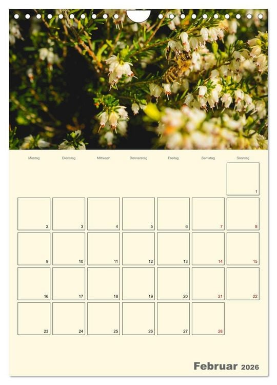 Produktbild: Bienen im Naturgarten (Wandkalender 2026 DIN A4 hoch), CALVENDO Monatskalender