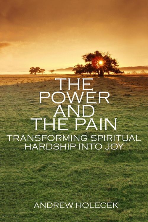 Produktbild: The Power and the Pain