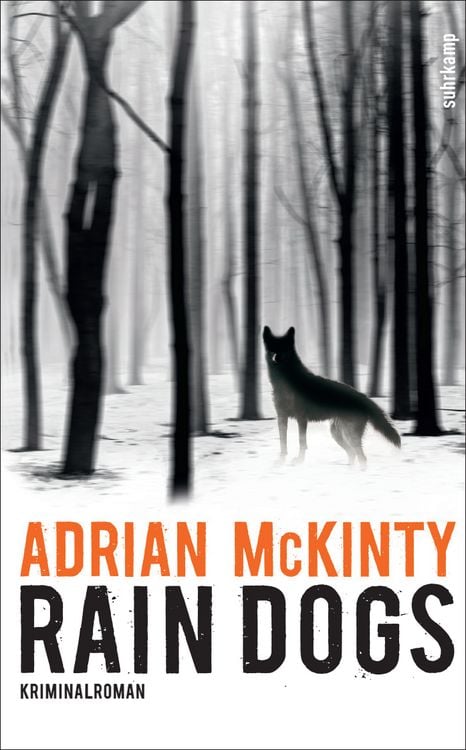 Produktbild: Rain Dogs - Kriminalroman (Sean-Duffy-Serie 5)