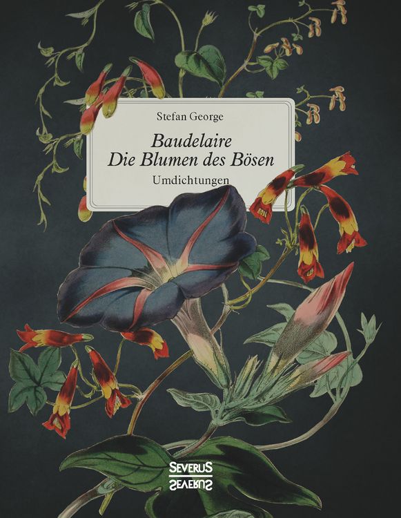 Produktbild: Baudelaire. Die Blumen des B&ouml;sen