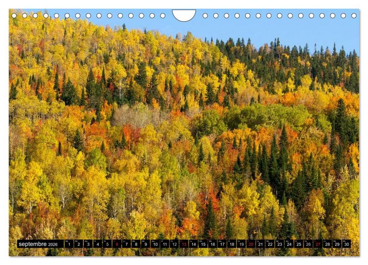 Produktbild: GASP&Eacute;SIE. Parc National du Qu&eacute;bec (Calendrier mural 2026 DIN A4 vertical), CALVENDO calendrier mensuel