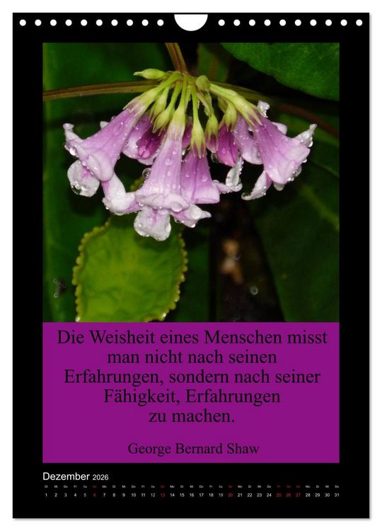 Produktbild: Lebensweisheiten mit Blumigen Gr&uuml;&szlig;en (Wandkalender 2026 DIN A4 hoch), CALVENDO Monatskalender
