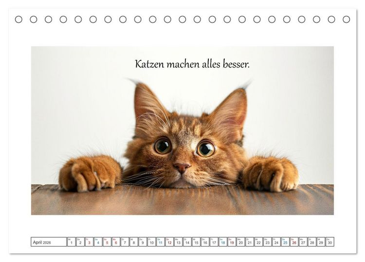 Produktbild: Katzenpower (Tischkalender 2026 DIN A5 quer), CALVENDO Monatskalender