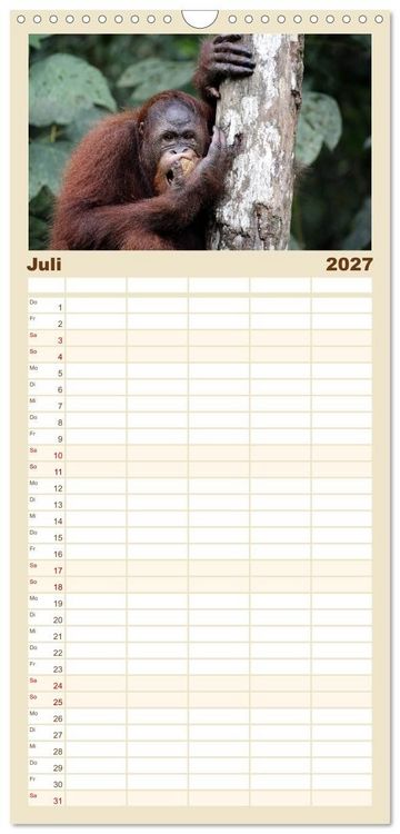 Produktbild: Familienplaner 2027 - Waldmenschen - Orang Utans auf Borneo mit 5 Spalten (Wandkalender, 21 x 45 cm) CALVENDO