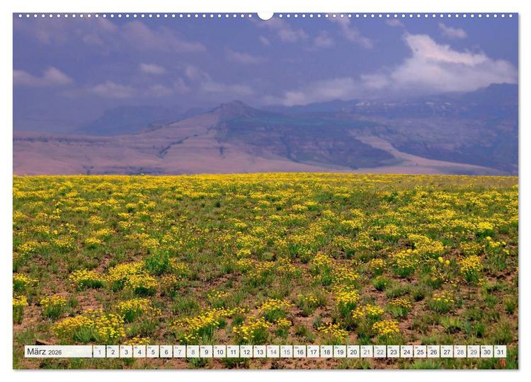 Produktbild: S&uuml;dafrika / Landschaften & Tiere / Christian Heeb (Wandkalender 2026 DIN A2 quer), CALVENDO Monatskalender