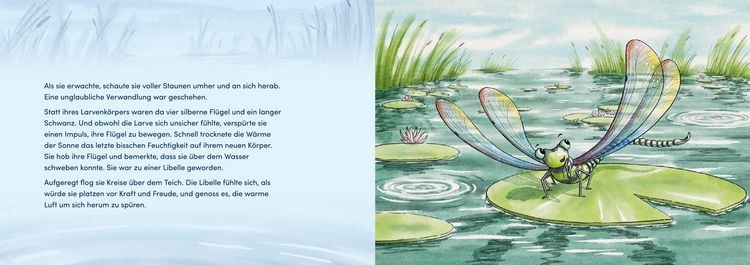 Produktbild: Von Larven und Libellen