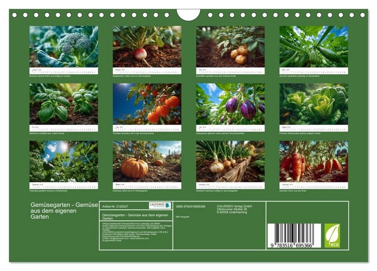 Produktbild: Gem&uuml;segarten - Gem&uuml;se aus dem eigenen Garten (Wandkalender 2026 DIN A4 quer), CALVENDO Monatskalender