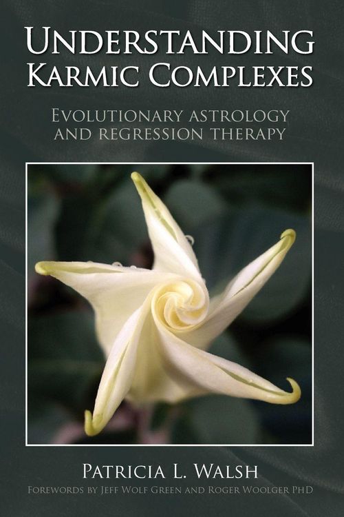 Produktbild: Understanding Karmic Complexes