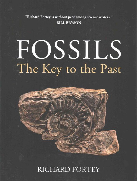 Produktbild: Fossils