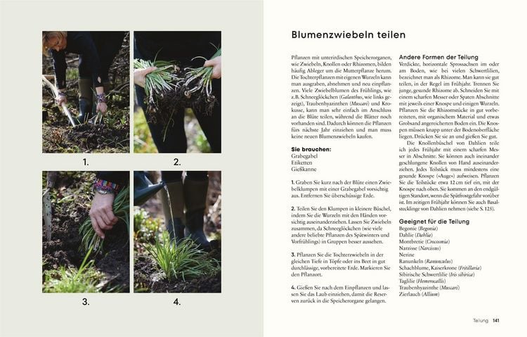 Produktbild: G&auml;rtnern f&uuml;r wenig Geld