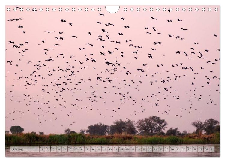 Produktbild: NAMIBIA Christian Heeb (Wandkalender 2026 DIN A4 quer), CALVENDO Monatskalender