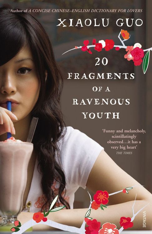 Produktbild: 20 Fragments of a Ravenous Youth