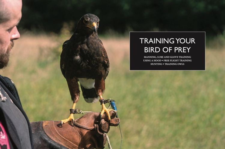 Produktbild: Falconry