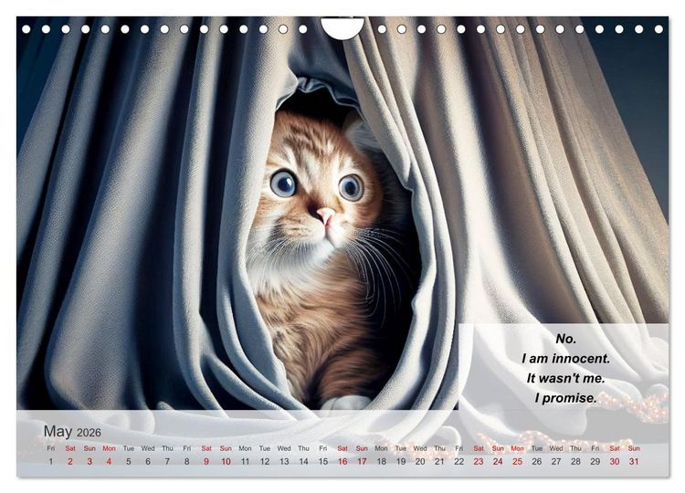 Produktbild: The humoristic cat guide (Wall Calendar 2026 DIN A4 landscape), CALVENDO 12 Month Wall Calendar