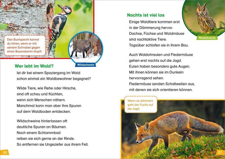 Produktbild: WAS IST WAS Erstes Lesen Band 4. Natur entdecken