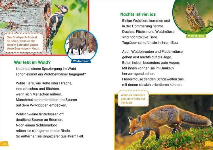 Produktbild: WAS IST WAS Erstes Lesen Natur entdecken
