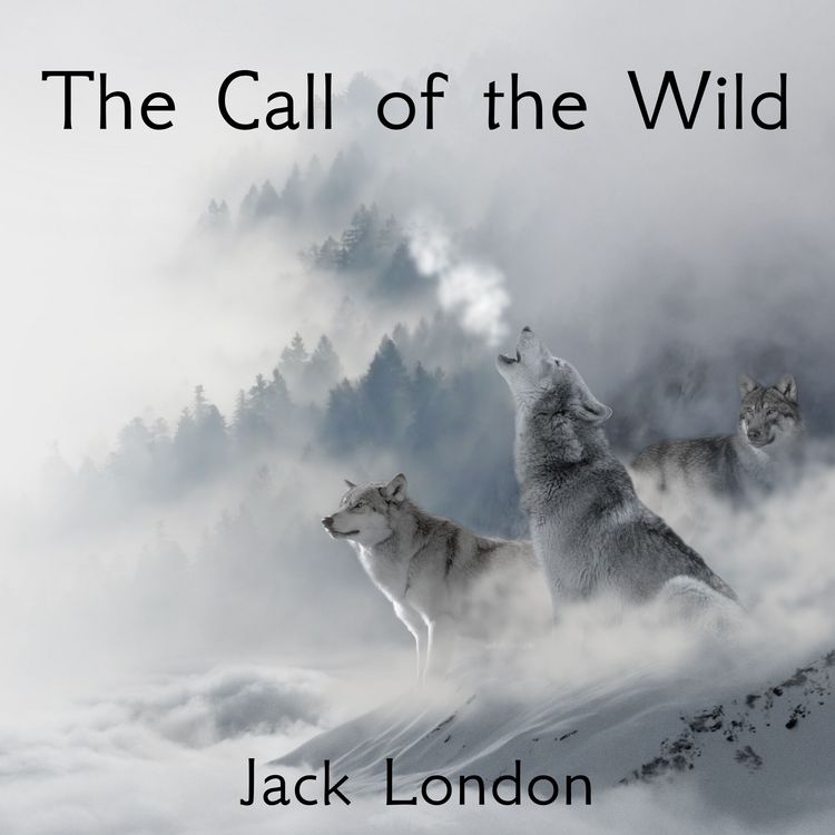 Produktbild: The Call of the Wild