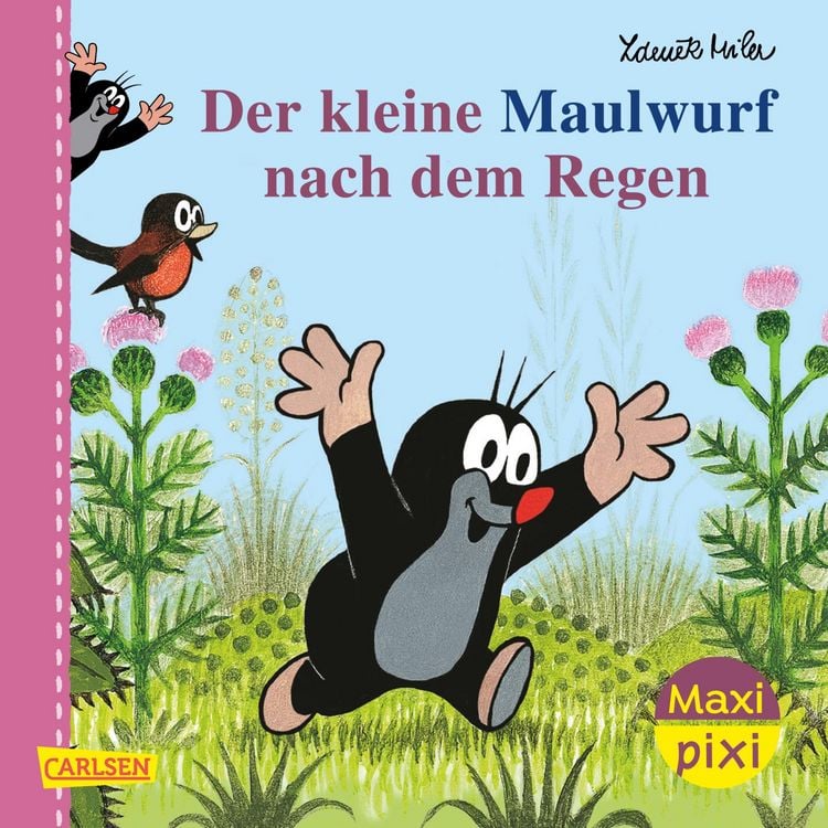 Produktbild: Maxi Pixi 200: Der Maulwurf nach dem Regen