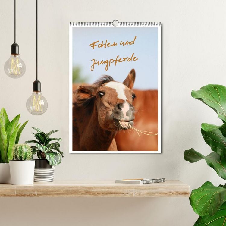 Produktbild: Fohlen und Jungpferde (Wandkalender 2026 DIN A3 hoch), CALVENDO Monatskalender