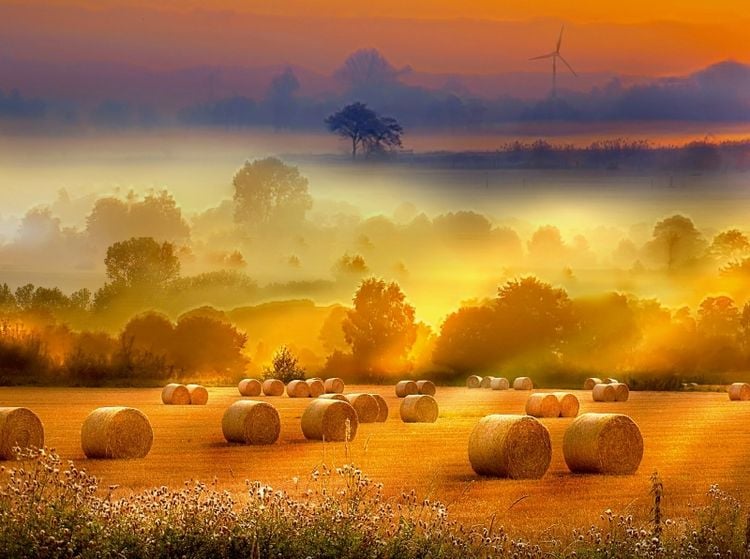 Produktbild: Strohballen auf dem Feld (Puzzle)