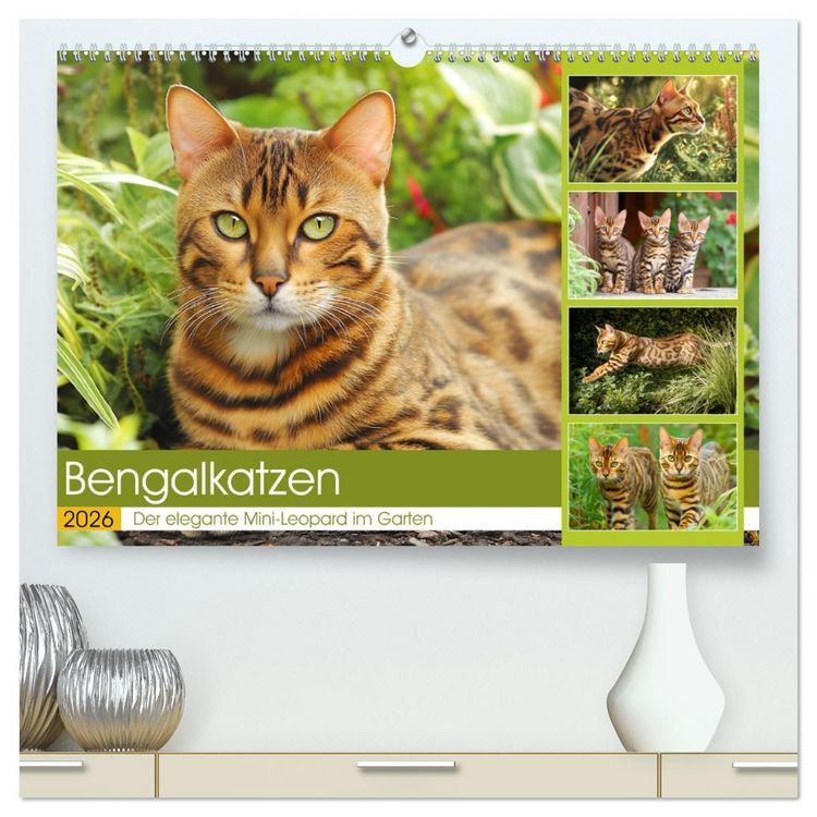 Produktbild: Bengalkatzen. Der elegante Mini-Leopard im Garten (hochwertiger Premium Wandkalender 2026 DIN A2 quer), Kunstdruck in Hochglanz