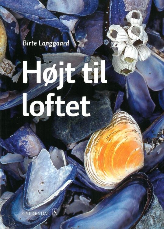 Produktbild: H&oslash;jt til loftet B2